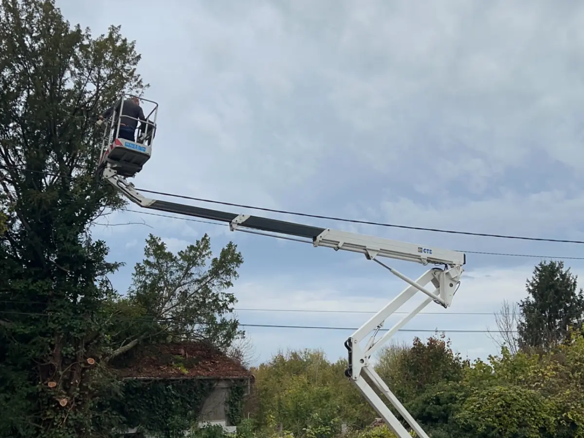 Élagage en nacelle en bord de route – E-H Paysagiste